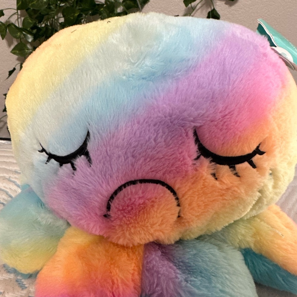 Reversible plushy